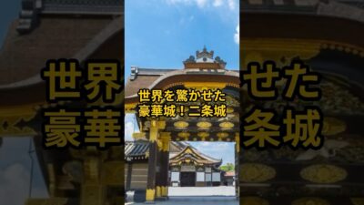 【お城・観光・グルメ】京都府：二条城#旅行 #お城 #観光 #グルメ