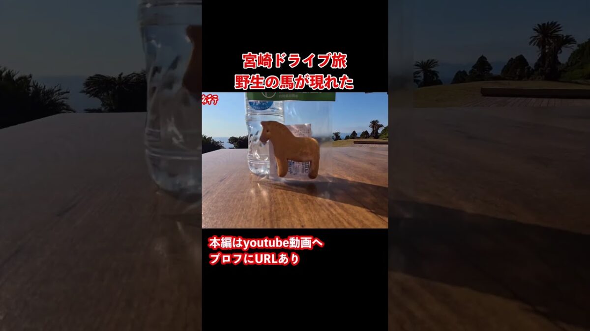 【宮崎観光】宮崎のグルメと観光を堪能するドライブ旅行の思い出！#宮崎観光 #宮崎旅行 #九州旅行