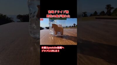 【宮崎観光】宮崎のグルメと観光を堪能するドライブ旅行の思い出！#宮崎観光 #宮崎旅行 #九州旅行