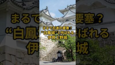 【お城・観光・グルメ】三重県：伊賀上野城の紹介#旅行 #お城 #観光 #グルメ