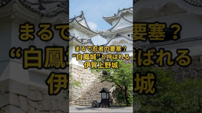 【お城・観光・グルメ】三重県：伊賀上野城の紹介#旅行 #お城 #観光 #グルメ
