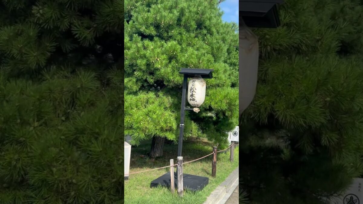 国宝　松本城へ！天守閣まで登る階段が急できつかった😂行き交うのも狭くて汗だくになった…でも行けて良かった！#松本城#長野#国宝#城
