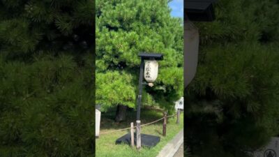 国宝　松本城へ！天守閣まで登る階段が急できつかった😂行き交うのも狭くて汗だくになった…でも行けて良かった！#松本城#長野#国宝#城