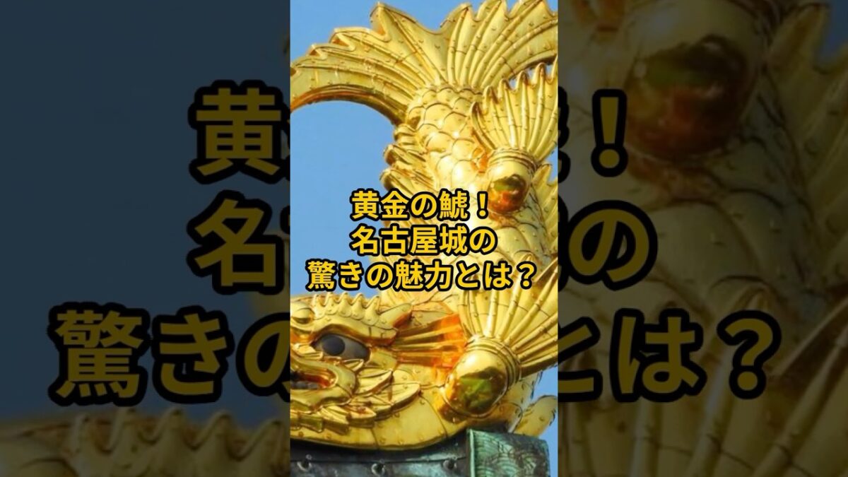 【お城・観光・グルメ】愛知県：名古屋城の紹介#旅行 #お城 #観光 #グルメ