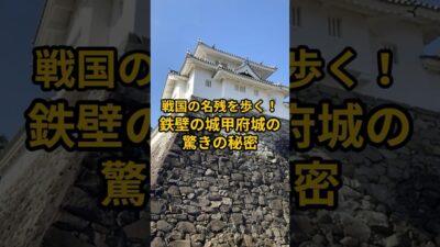【お城・観光・グルメ】山梨県：甲府城の紹介#旅行 #お城 #観光 #グルメ
