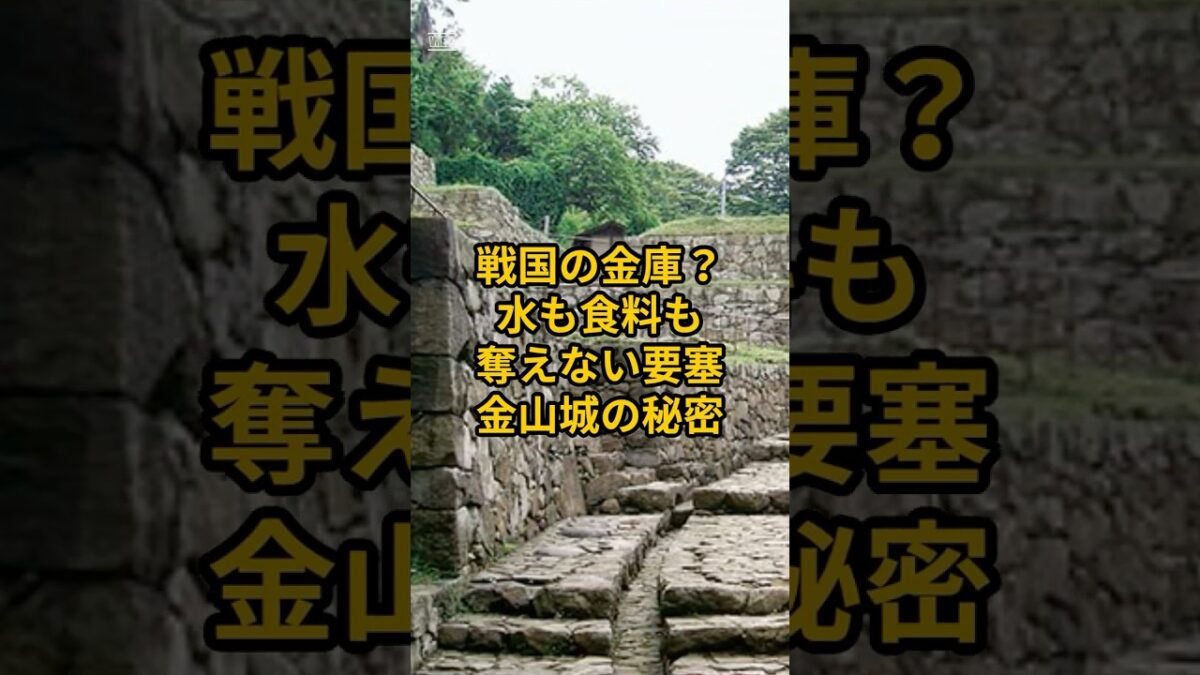 【お城・観光・グルメ】群馬県：金山城の紹介#旅行 #お城 #群馬県