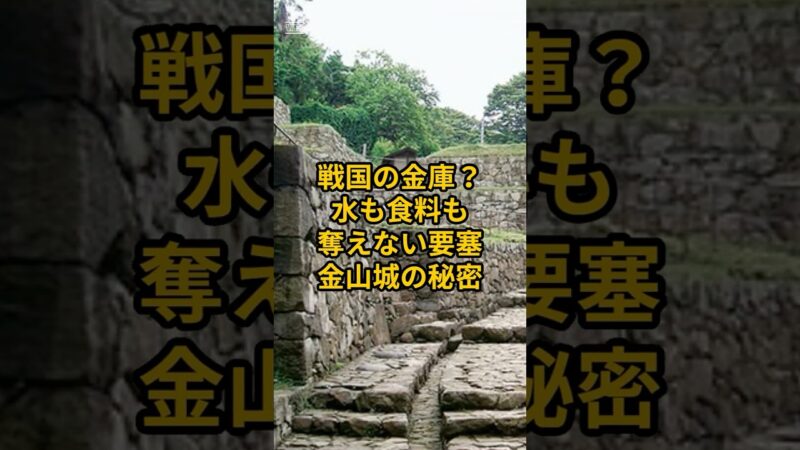 【お城・観光・グルメ】群馬県：金山城の紹介#旅行 #お城 #群馬県