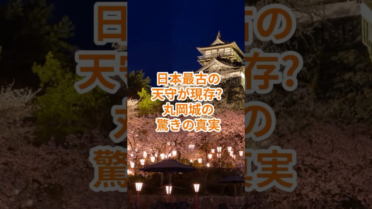 【お城・観光・グルメ】福井県：丸岡城の紹介#旅行 #お城 #観光 #グルメ