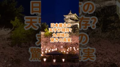 【お城・観光・グルメ】福井県：丸岡城の紹介#旅行 #お城 #観光 #グルメ
