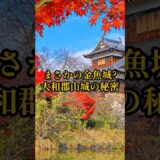 【お城・観光・グルメ】奈良県：大和郡山城#旅行 #お城 #観光 #グルメ