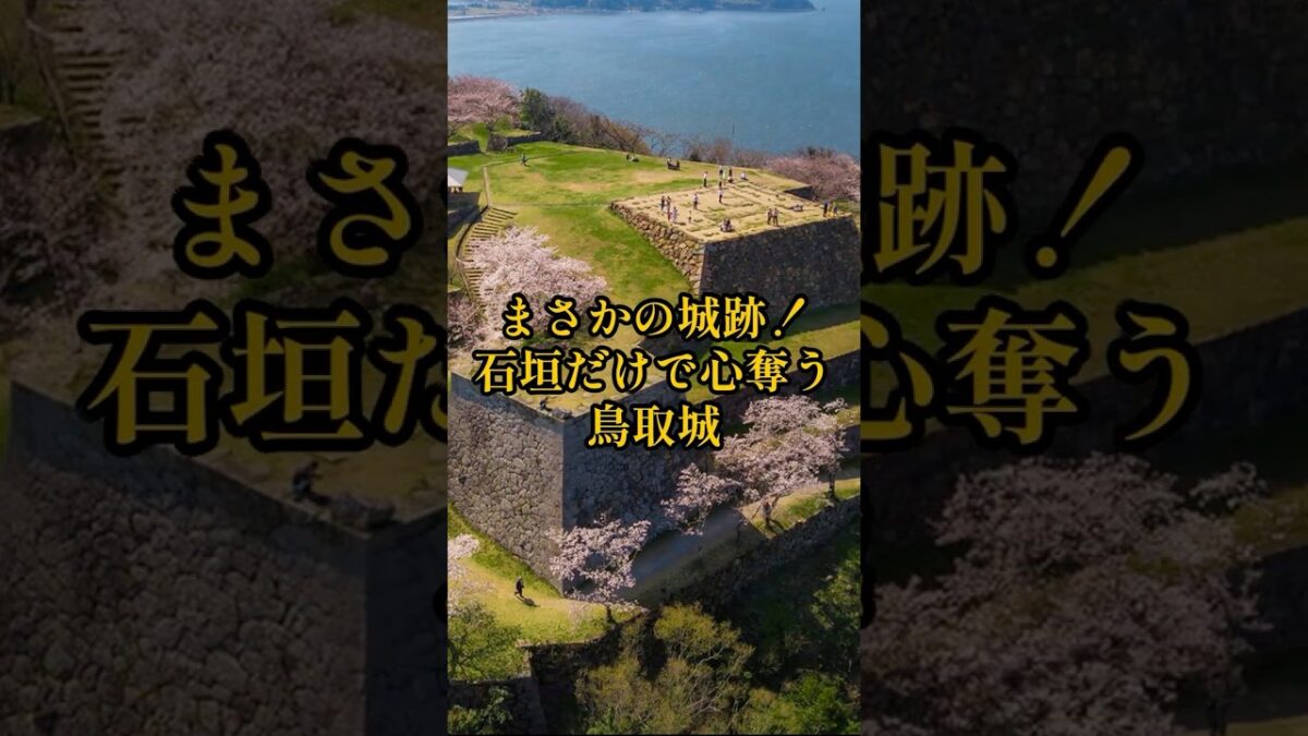【お城・観光・グルメ】鳥取県：鳥取城の紹介#旅行 #お城 #観光 #グルメ