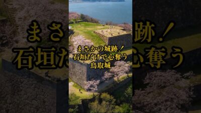 【お城・観光・グルメ】鳥取県：鳥取城の紹介#旅行 #お城 #観光 #グルメ