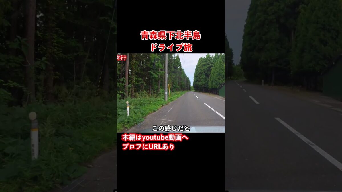 【青森観光】野生動物に遭遇！本州最北端を目指すドライブ旅行 #青森旅行 #青森観光 #ドライブ旅行