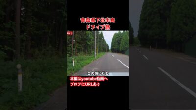 【青森観光】野生動物に遭遇！本州最北端を目指すドライブ旅行 #青森旅行 #青森観光 #ドライブ旅行