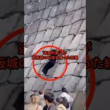 迷惑外国人が大阪城の石垣を登った結果