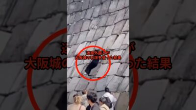 迷惑外国人が大阪城の石垣を登った結果