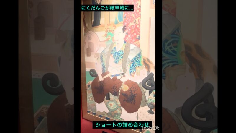 岐阜城からの景色は特に最高！#景色 #お城 #岐阜