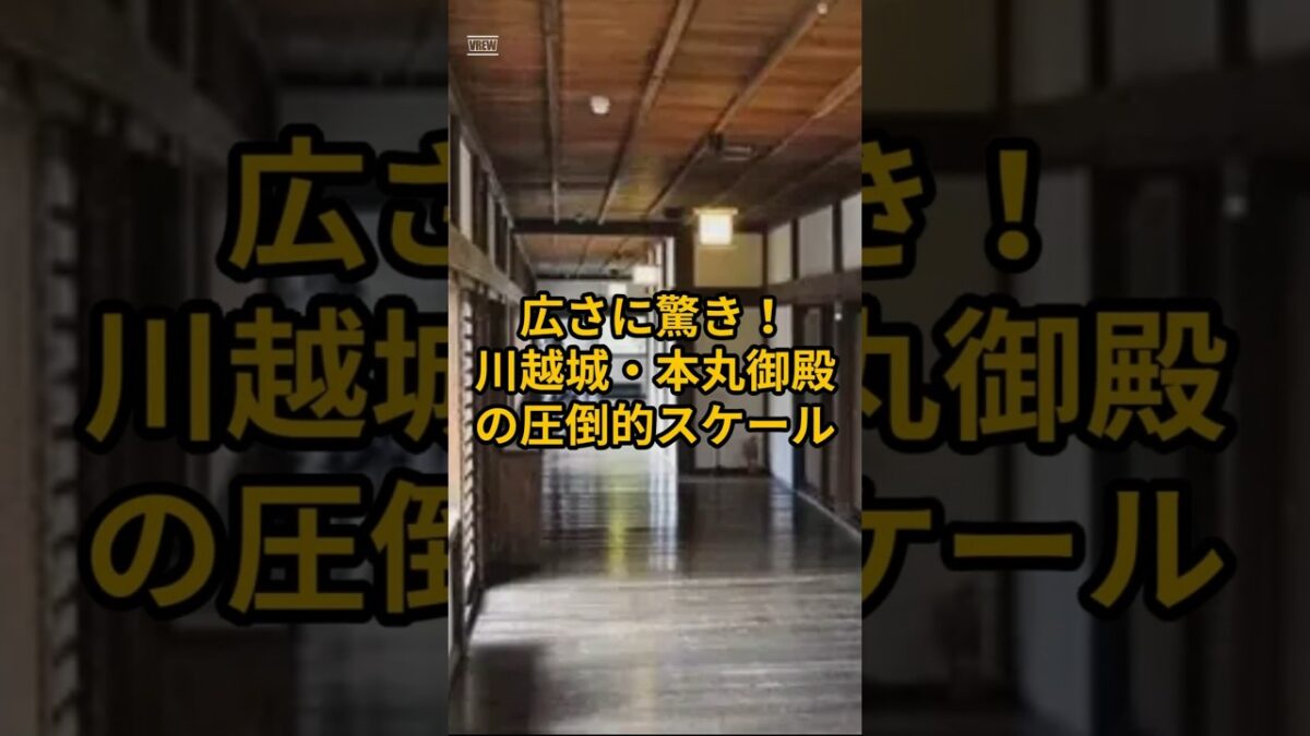 【お城・観光・グルメ】埼玉県：川越城の紹介#旅行 #お城 #埼玉県