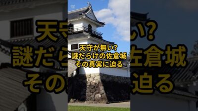 【お城・観光・グルメ】千葉県：佐倉城の紹介#旅行 #お城 #千葉県