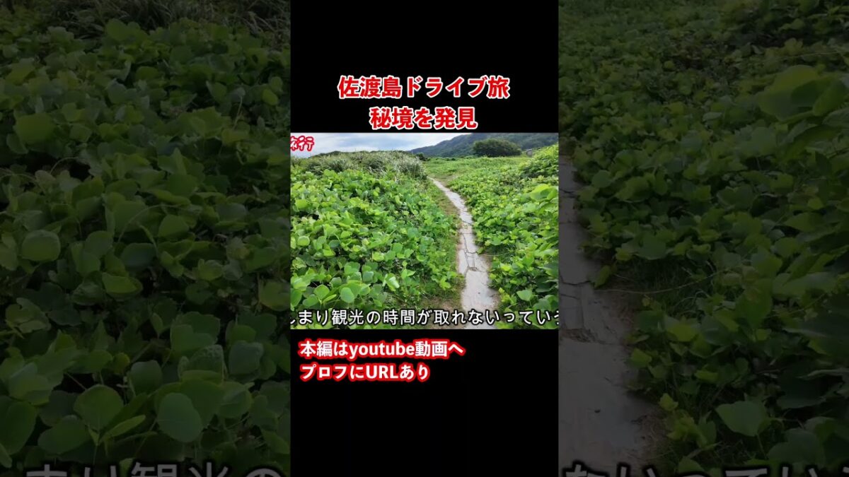 【佐渡島観光】新潟県佐渡島ドライブ旅行の思い出！#旅行vlog #国内旅行 #離島