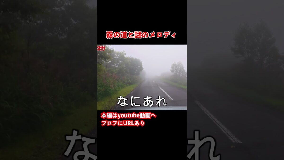 メロディーロード？北海道のグルメと観光を堪能するドライブ旅行！#旅行vlog #ひとり旅 #函館
