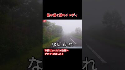 メロディーロード？北海道のグルメと観光を堪能するドライブ旅行！#旅行vlog #ひとり旅 #函館