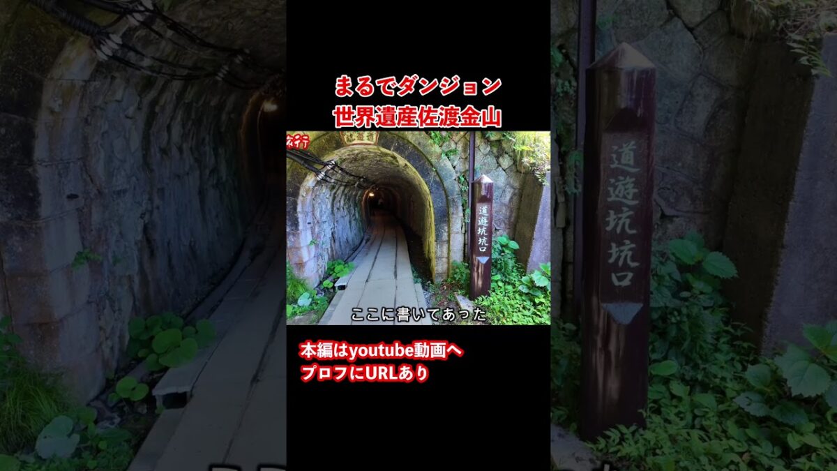 【佐渡島観光】新潟県にダンジョンが！佐渡島旅行で佐渡金山を観光しました #佐渡島 #旅行vlog #佐渡金山