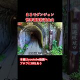 【佐渡島観光】新潟県にダンジョンが！佐渡島旅行で佐渡金山を観光しました #佐渡島 #旅行vlog #佐渡金山