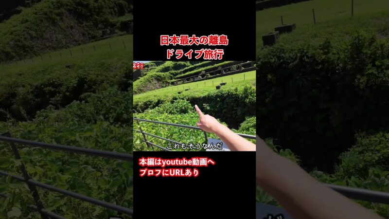 【新潟観光】佐渡のラピュタ！佐渡島のグルメと観光を巡るドライブ旅行 #旅行vlog #ドライブ旅行 #佐渡島