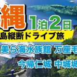沖縄旅行　1泊2日ドライブ旅【首里城・美ら海水族館・万座毛・今帰仁城・中城城】