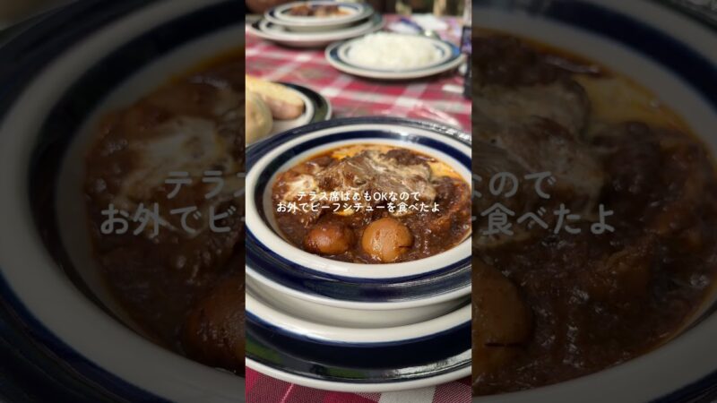 ワンちゃんと楽しめる1泊2日山梨旅行 1日目⛰️☀️🐶#山梨旅#犬旅#ペットOK#国内旅行#週末旅