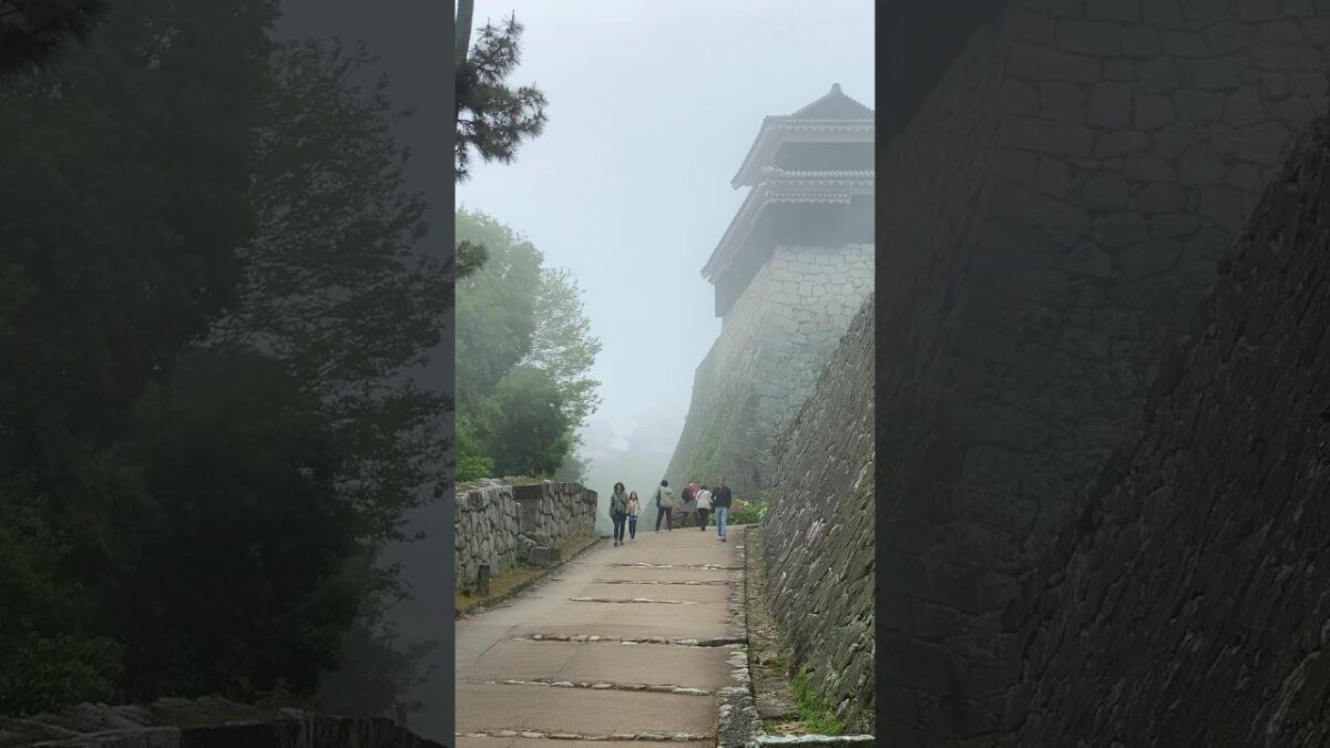 松山城は現存天守！THE MATSUYAMA CASTLE IN JAPAN #旅行 #城 #japantravel