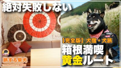 【箱根×愛犬と泊まれる宿】（完全版）全室客室露天風呂（温泉）付き「箱根わんこ亭ゆにわ」＆（秋冬旅+春旅）芦ノ湖周辺散策「箱根遊船・相原精肉店・銀の穂・ススキ草原」（旅する柴犬in神奈川）