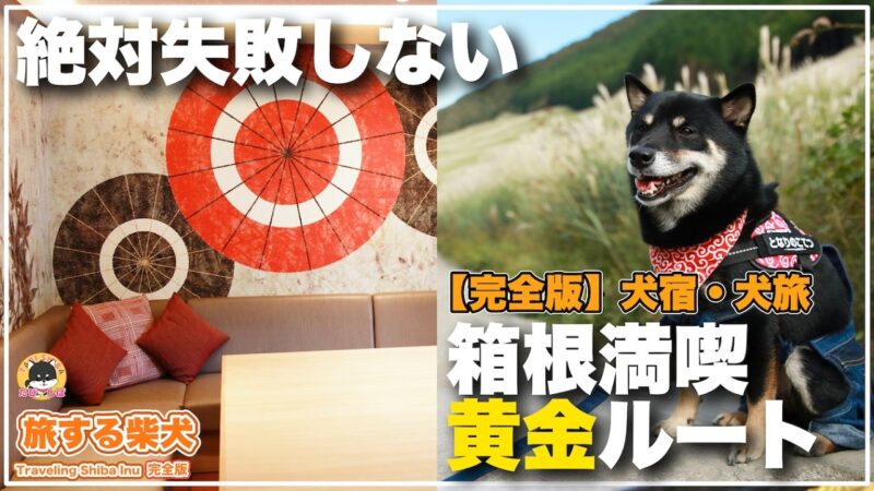 【箱根×愛犬と泊まれる宿】(完全版)全室客室露天風呂(温泉)付き「箱根わんこ亭ゆにわ」&(秋冬旅+春旅)芦ノ湖周辺散策「箱根遊船・相原精肉店・銀の穂・ススキ草原」(旅する柴犬in神奈川)