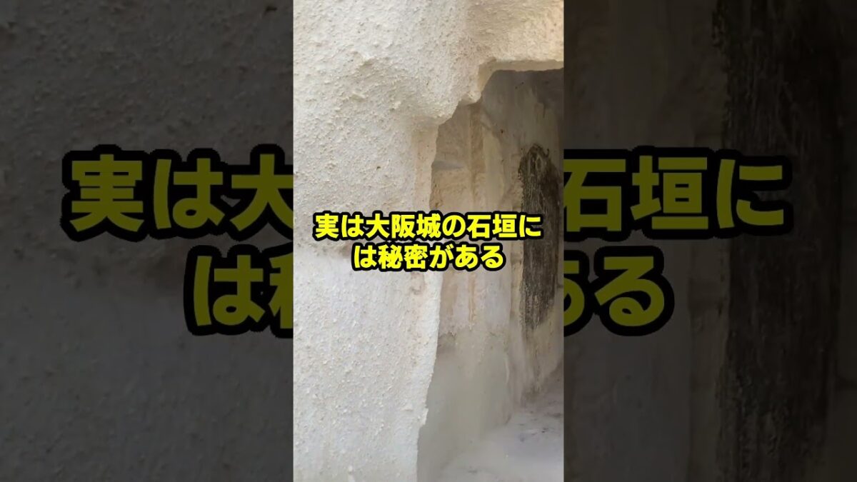 迷惑外国人が大阪城の石垣を登った結果 #海外の反応 #shorts #中国 #韓国