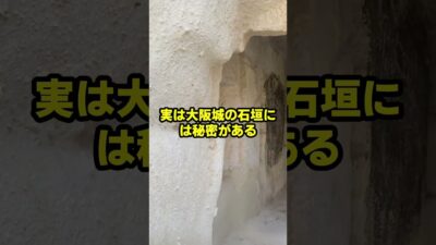 迷惑外国人が大阪城の石垣を登った結果 #海外の反応 #shorts #中国 #韓国