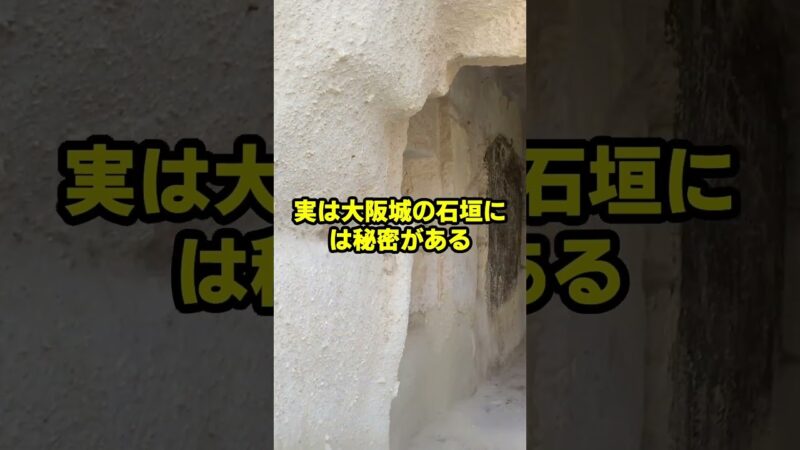 迷惑外国人が大阪城の石垣を登った結果 #海外の反応 #shorts #中国 #韓国