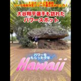 【大谷翔平選手もここに行ったら覚醒した】  #shorts #米津玄師 #IRISOUT #大谷選手 #チェンソーマンレゼ篇 #kenshiyonezu #大谷翔平 #ハワイ #踊ってみた
