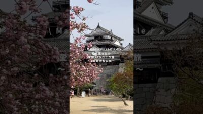 朝イチで松山城!! / #女子ひとり旅 #愛媛旅行 #愛媛ひとり旅