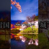 【全国お城めぐり+グルメ・お土産】新潟県：高田城#旅行 #お城 #観光 #グルメ #お土産
