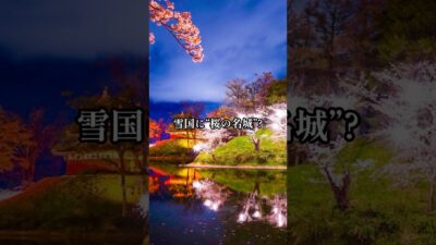 【全国お城めぐり+グルメ・お土産】新潟県：高田城#旅行 #お城 #観光 #グルメ #お土産