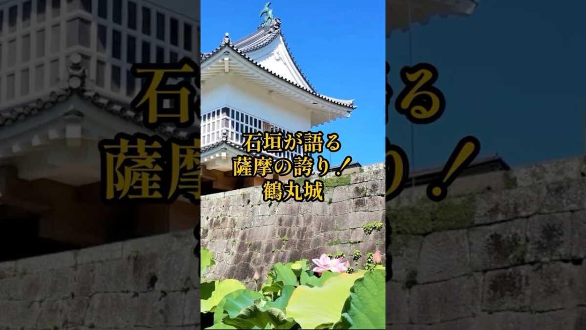【お城・観光・グルメ】鹿児島県:鹿児島城(鶴丸城)の紹介#お城 #旅行 #観光 #グルメ