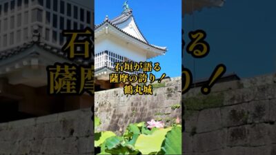 【お城・観光・グルメ】鹿児島県:鹿児島城(鶴丸城)の紹介#お城 #旅行 #観光 #グルメ