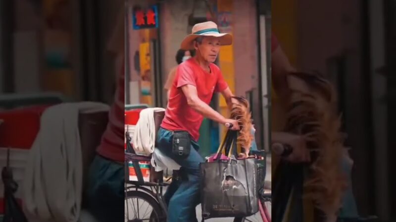 【賭城風雲】🇲🇴到了澳門，才看到真實的澳門，感受一下澳門人的生活。現實並不是極度享樂、富麗奢華，紙醉金迷的生活景象。