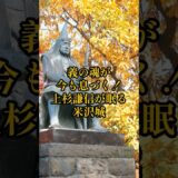 【全国お城めぐり+グルメ・お土産】山形県：米沢城#旅行 #お城 #観光 #グルメ #お土産