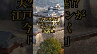【お城・観光・グルメ】愛媛県：松山城の紹介#旅行 #お城 #観光 #グルメ