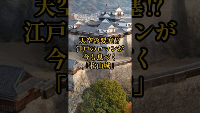 【お城・観光・グルメ】愛媛県：松山城の紹介#旅行 #お城 #観光 #グルメ