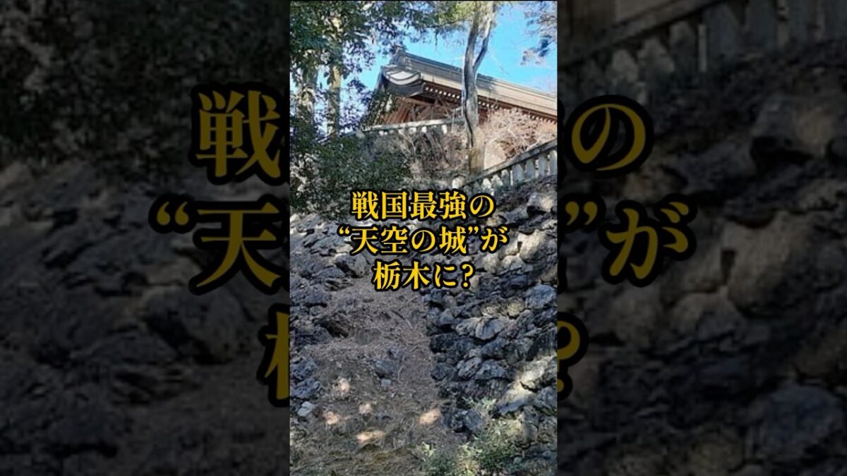 【全国お城めぐり+グルメ・お土産】栃木県：唐沢山城#旅行 #お城 #観光 #グルメ #お土産