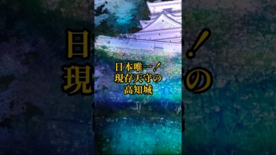 【お城・観光・グルメ】高知県:高知城の紹介#旅行 #お城 #観光 #グルメ