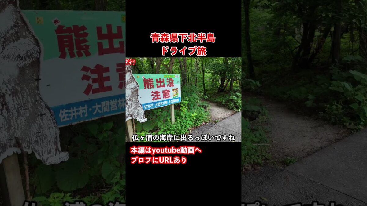 【青森観光】仏ヶ浦へ！下北半島ドライブ旅行で本州最北端へ #旅行vlog #ドライブ旅行 #青森観光